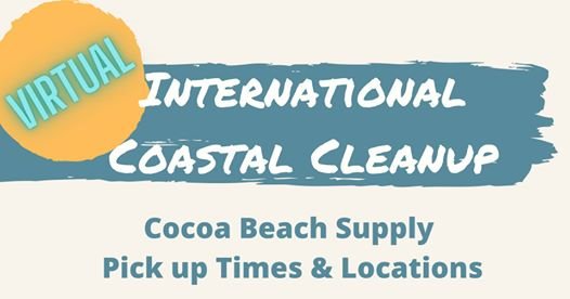 Virtual International Clean up