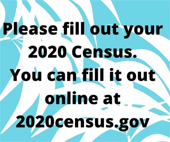 Fill out your census online