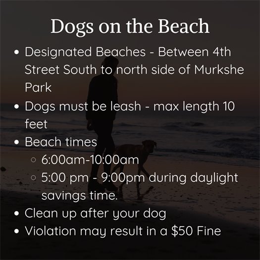Beach rules for dogs on the beach
