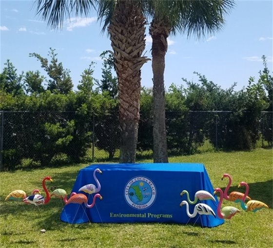 City of Cocoa beach Environmental Programs table, surrounded by the  Cocoa Beach Floridan Friendly Flock of lawn ornament flamingos, painted by Jeannie Lagan Heins Langan who owns the Langan Studio in Cocoa Beach