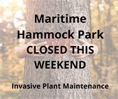 Maritime Hammock Park Closing this weekend (Friday, January 28th 8:00am) for invasive plant maintenance