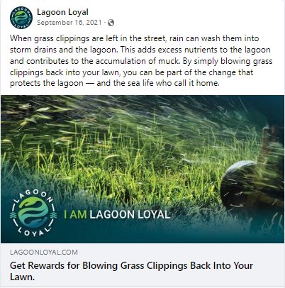 Save the lagoon