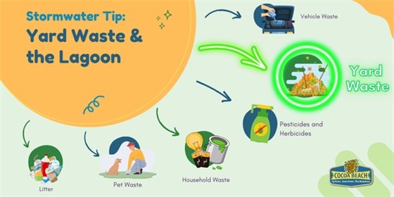 Storm water tip: Yard waste and the lagoon