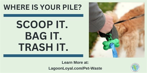 Scoop it information on post