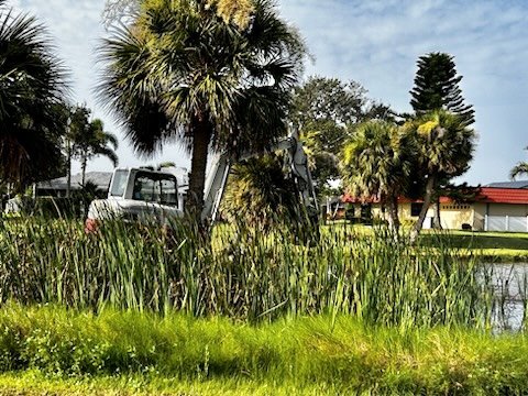 Cattail removal equipment