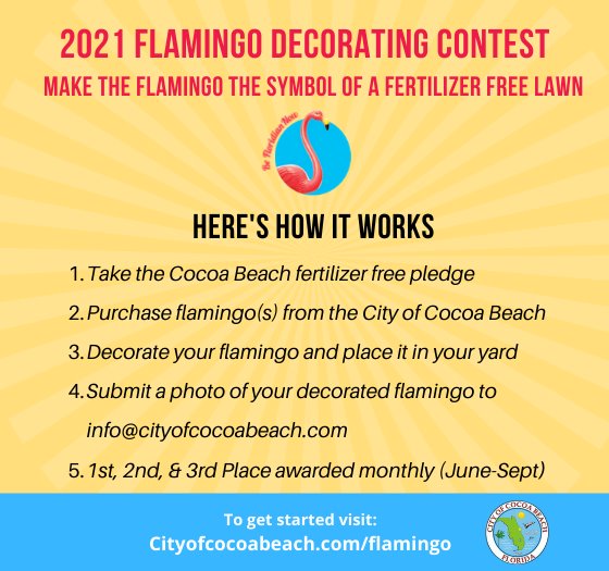 Be a Floridian Flamingo!