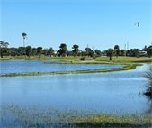 Dolphin hole #9 with water boundary line