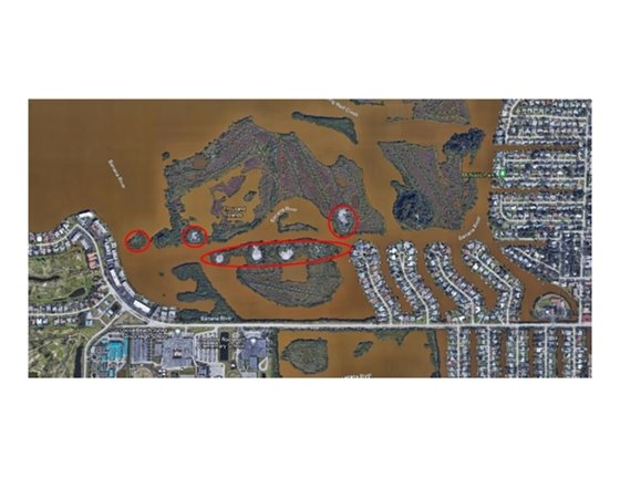 Removing invasive plants on island-circle areas