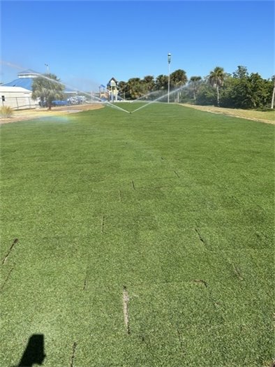 After a summer of unprecedented rain at our sod supplier in south Florida, we have finally begun receiving sod to redo the tee boxes on the course that have been in limbo!  Here you see the before and after pictures for River #2 tee box.  We anticipate the tee box to open in the next 2 weeks after working with the sod and it takes root.  On deck (delivery in 2 weeks) are the Ladies tee box on River #2, the tee boxes on River #1 and River #3.  Also in the near future, we will be overseeding, where needed, on tee boxes throughout the course when we have sustained cooler weather so the seed can germinate and not burn out.