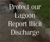 Protect our Lagoon, Report illicit discharge