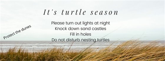 Turtle season