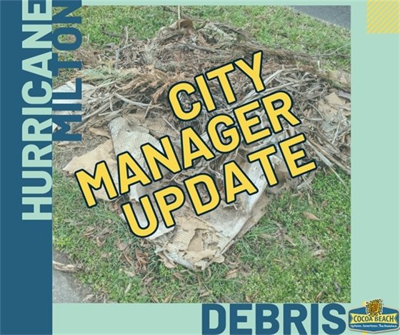 city manager