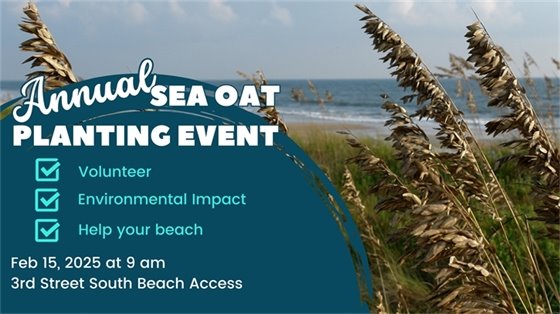 Annual Sea Oats Planting Event - Volunteer, Environmental Impact, Help your beach. Feb 15, 2025