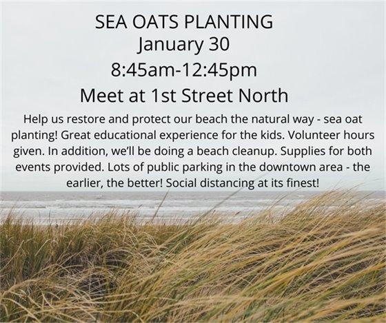 sea oats planting 2021