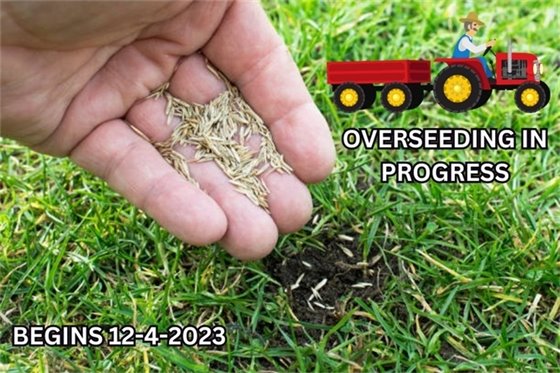 In our continued effort in the beautification and playability of our course, beginning December 4, 2023, we will be over-seeding multiple spots at the Country Club.  River course holes #4 through #9 tee boxes, Dolphin #2 tee box and the Driving Range tee box area will be affected over the next 2 weeks.  The Driving range will be closed through Friday 12-8-23 and will then be open to hitting from the mats only.  The tee boxes on the affected areas on the course will be moved up to the fairways for two weeks.  Thank you for your understanding as we continue to improve the course conditions for your enjoyment!