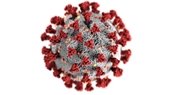 COVID-19 virus picture